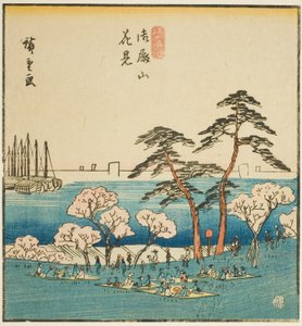 Kirschblütenbesichtigung am Goten-Hügel (Gotenyama hanami), Abschnitt eines Blattes aus der Serie "Berühmte Orte in der östlichen Hauptstadt (Toto meisho)" von Utagawa Hiroshige
