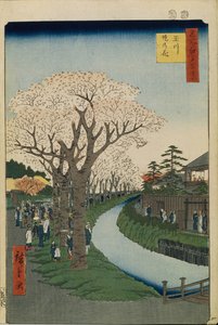 Kirschblüten am Ufer des Tama-Flusses Hundert berühmte Ansichten von Edo, 1856-1858 von Utagawa Hiroshige
