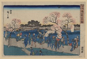 Kirschblüten entlang des Sumida-Flusses. Sumida tsutsumi hanami no zu von Utagawa Hiroshige