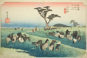 Chiryu: Frühsommer-Pferdemarkt (Chiryu, shuka uma ichi), aus der Serie "Dreiundfünfzig Stationen des Tokaido (Tokaido gojusan tsugi no uchi)," auch bekannt als Hoeido Tokaido von Utagawa Hiroshige