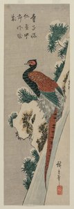 Kupferfasan am verschneiten Wasserfall von Utagawa Hiroshige