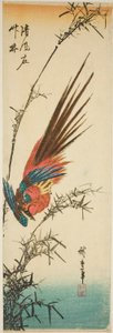 Kupferfasan und Bambus von Utagawa Hiroshige