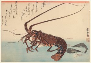 Krebs und zwei Garnelen, aus der Serie Große Fische, 1840
