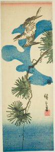 Kuckuck, Kieferzweig und Vollmond von Utagawa Hiroshige