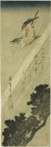Kuckuck fliegt im Regen von Utagawa Hiroshige