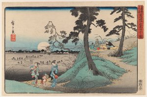 Genießen des Insekts bei Dokanzana in Mondnacht, aus der Serie Ansichten von Edo von Utagawa Hiroshige