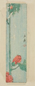 Umschlag mit Hibiskus von Utagawa Hiroshige