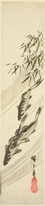 Fische in einem Bach von Utagawa Hiroshige