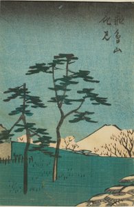 Blumenbetrachtung am Asuka-Hügel (Asukayama hanami), Abschnitt eines Blattes aus der Serie „Ausschnitte berühmter Orte in Edo (Harimaze Koto meisho)“ von Utagawa Hiroshige