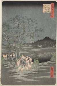 Fuchsfeuer an Silvester am Wechselbaum in Oji, aus der Serie "Hundert berühmte Ansichten von Edo"