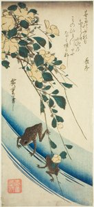 Frösche und gelbe Rose von Utagawa Hiroshige