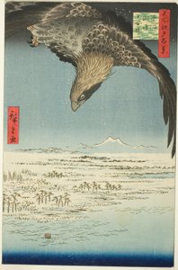 Fukagawa Susaki und Jumantsubo (Fukagawa Susaki Jumantsubo), aus der Serie "Hundert berühmte Ansichten von Edo (Meisho Edo hyakkei)" von Utagawa Hiroshige