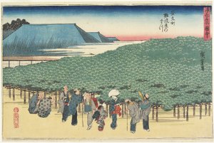Riesenkiefer von Naniwaya in Anryu-machi, ca. 1834 von Utagawa Hiroshige