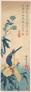 Hibiskus und Blauvogel