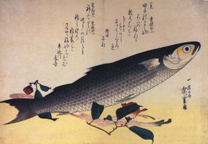 Hiroshige Grauer Meeräschen und Kamelie