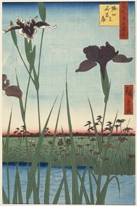 Horikiri-Irisgarten (Horikiri no hanashōbu), aus der Serie Einhundert berühmte Ansichten von Edo (Meisho Edo hyakkei) von Utagawa Hiroshige