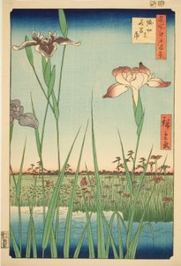 Schwertlilien in Horikiri, aus der Serie "Hundert berühmte Ansichten von Edo" von Utagawa Hiroshige