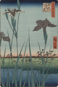 Schwertlilien von Horikiri, aus der Serie Einhundert berühmte Ansichten von Edo von Utagawa Hiroshige