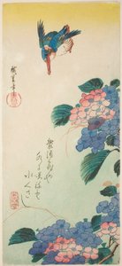 Eisvogel und Hortensie von Utagawa Hiroshige
