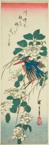 Eisvogel und Schneeball von Utagawa Hiroshige
