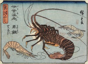 Hummer, Garnele und Shrimps, 1830-1844