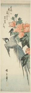 Langschwanzvogel und Hibiskus von Utagawa Hiroshige