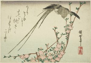 Langschwanzvogel und Pfirsichblüten von Utagawa Hiroshige