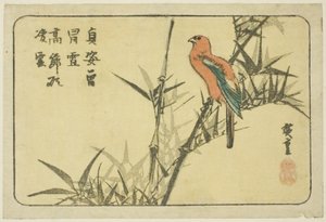 Papagei und Bambus von Utagawa Hiroshige