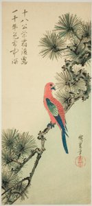Ara auf einem Kiefernzweig von Utagawa Hiroshige