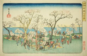 Feiern am Goten-Hügel, aus der Serie "Berühmte Orte in Edo" von Utagawa Hiroshige