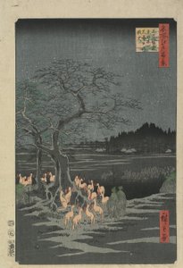Silvester-Füchse am Hackberry-Baum in O_ji, 1857