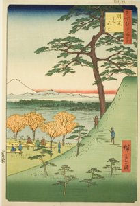 Original Fuji, Meguro (Meguro Moto-Fuji), aus der Serie „Hundert berühmte Ansichten von Edo (Meisho Edo hyakkei)“ von Utagawa Hiroshige