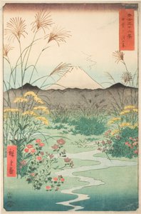 Otsuki-Ebene in der Provinz Kai, aus der Serie "Sechsunddreißig Ansichten des Berges Fuji" von Utagawa Hiroshige