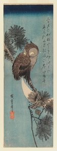 Eule auf einem Kiefernzweig, ca. 1833 von Utagawa Hiroshige