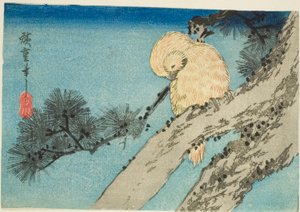 Eule auf Kieferzweig von Utagawa Hiroshige