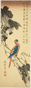 Papagei auf einer Weinrebe von Utagawa Hiroshige