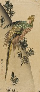 Fasan zwischen Kieferntrieben von Utagawa Hiroshige
