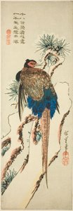 Fasan auf einem schneebedeckten Kiefernbaum von Utagawa Hiroshige