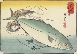 Garnele und Gelbschwanz, frühes 19. Jahrhundert von Utagawa Hiroshige