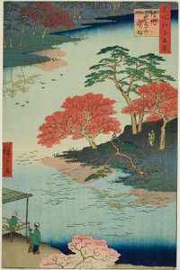 Bezirk des Akiba-Schreins, Ukeji, aus der Serie "Hundert berühmte Ansichten von Edo" von Utagawa Hiroshige