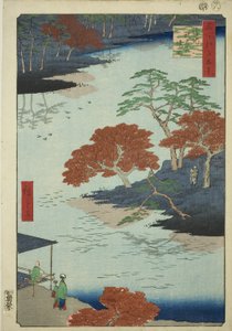 Bezirk des Akiba-Schreins, Ukeji (Ukeji Akiba no keidai), aus der Serie "Hundert berühmte Ansichten von Edo (Meisho Edo hyakkei)"