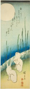 Kaninchen unter Vollmond von Utagawa Hiroshige