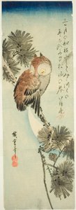 Kleine Horn-Eule, Kiefer und Halbmond von Utagawa Hiroshige