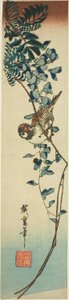Spatz und Glyzinie von Utagawa Hiroshige