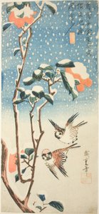 Spatzen und Kamelie im Schnee von Utagawa Hiroshige