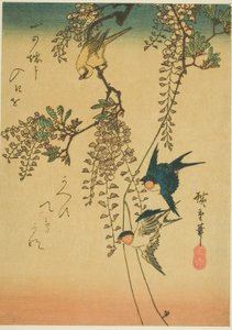 Schwalbe, gelber Vogel und Glyzinie von Utagawa Hiroshige