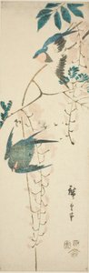 Schwalben und Glyzinien von Utagawa Hiroshige