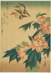 Schwalben, Eisvogel und Hibiskus von Utagawa Hiroshige