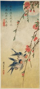 Schwalben, Pfirsichblüten und Vollmond von Utagawa Hiroshige