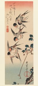 Tanzaku, vier Schwalben, 1832 von Utagawa Hiroshige
